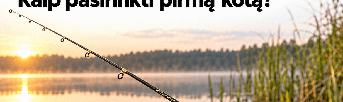 Spiningas avižadrebiui: kaip pasirinkti ir nuo ko pradėti?