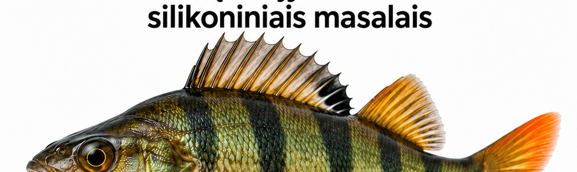 Kas yra micro jig? Ešerių žvejyba mažais silikoniniais masalais